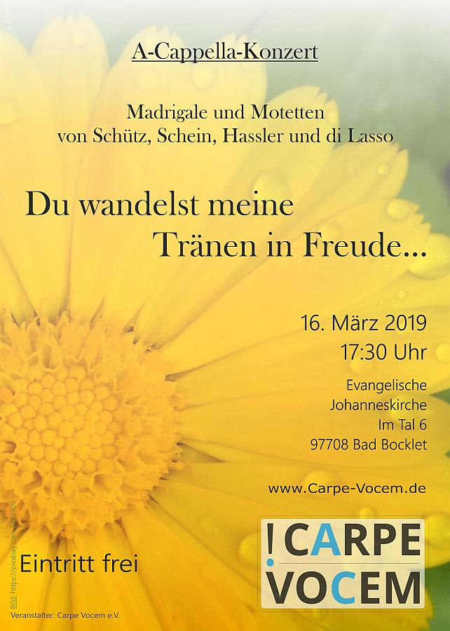 Poster: Schütz & Co